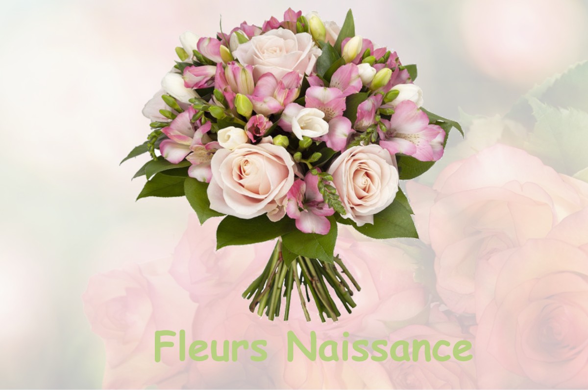 fleurs naissance HENNEMONT