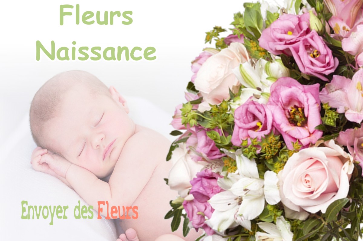 lIVRAISON FLEURS NAISSANCE à HENNEMONT